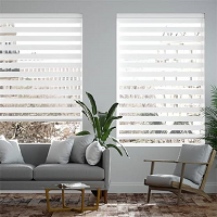 window blinds